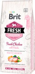 Brit Fresh Chicken/Potato Puppy - Сухий корм для цуценят (курка)