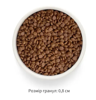 Набор сухого корма Grandorf Сухой беззерновой корм для взрослых кошек с лососем и бататом 400 г 2+1, срок годности до 22.11.2026