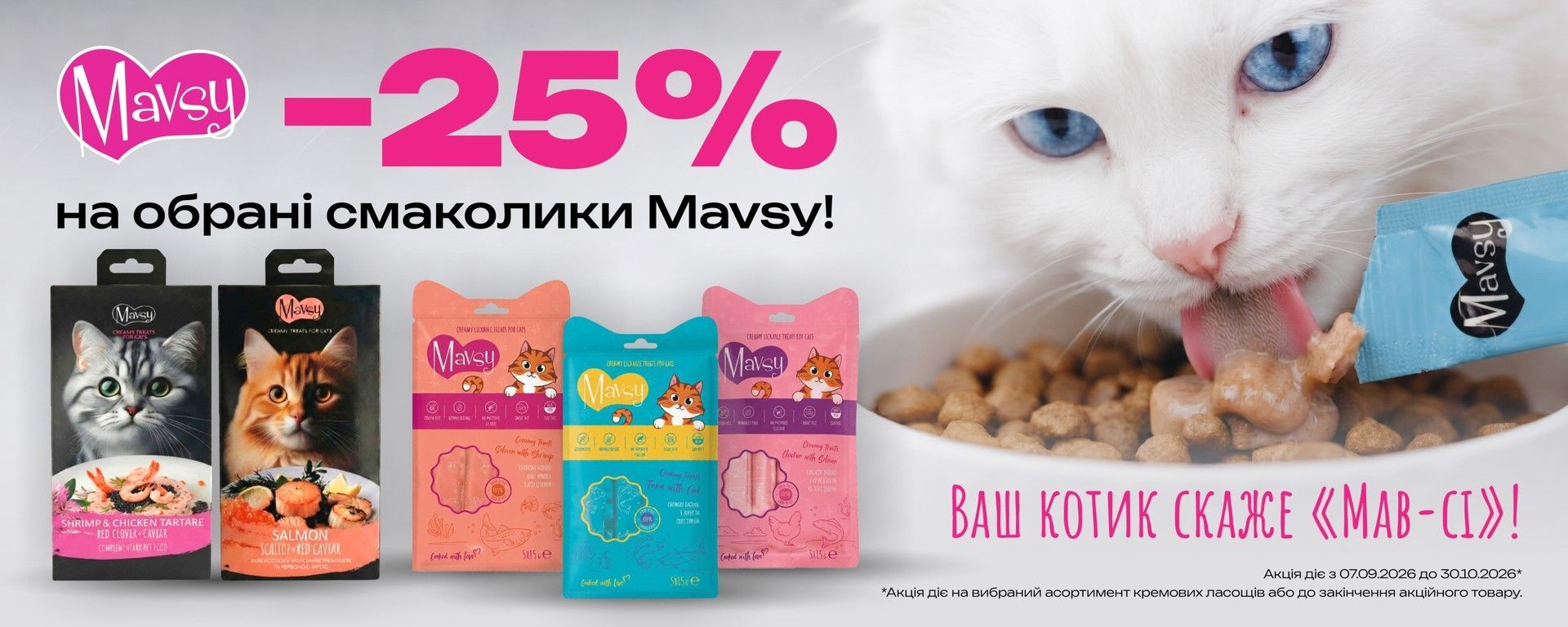 Mavsy Cat