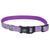 Coastal Lazer Brite Reflective Collar - Светоотражающий ошейник для собак Фиолетовая ромашка, 1,6 см * 30-46 см