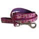 Coastal Pet Attire Weave - Повідець для собак з принтом Крапка, 1,6 см * 1,8 м